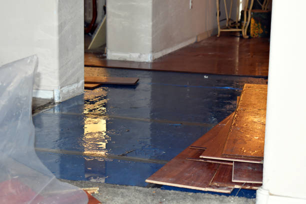 Professional Sewage Cleanup technician working in Mesick, MI